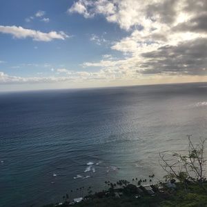 Meet your Posher, Josie